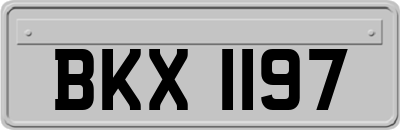 BKX1197
