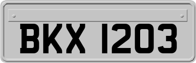 BKX1203