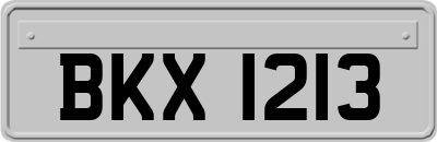 BKX1213