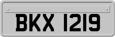 BKX1219