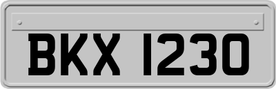 BKX1230
