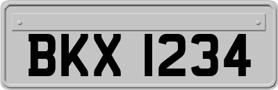 BKX1234