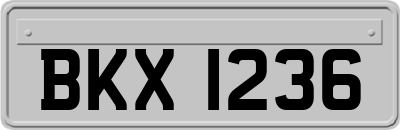BKX1236