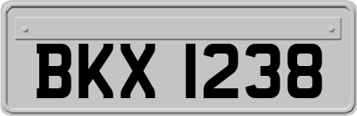 BKX1238