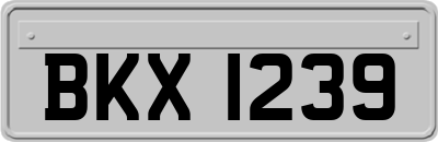 BKX1239