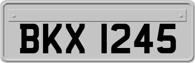 BKX1245