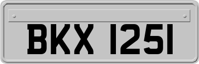 BKX1251