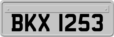 BKX1253