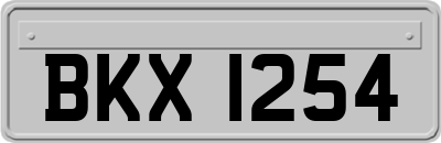 BKX1254