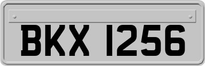BKX1256