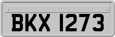 BKX1273