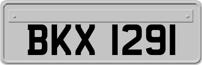 BKX1291