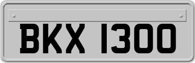 BKX1300