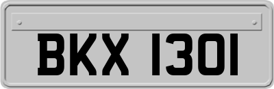 BKX1301