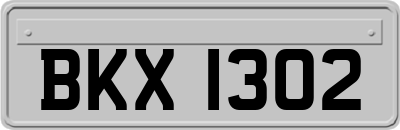 BKX1302