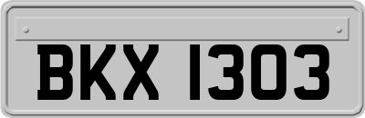 BKX1303