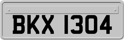 BKX1304