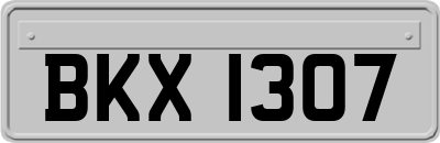 BKX1307