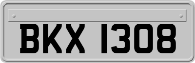 BKX1308