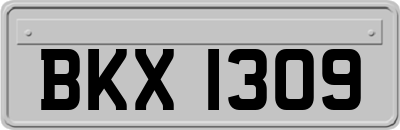 BKX1309