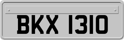 BKX1310