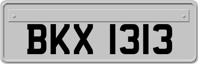 BKX1313