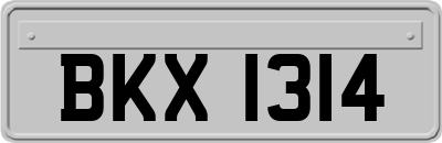 BKX1314