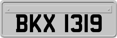 BKX1319