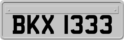 BKX1333