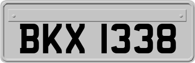 BKX1338