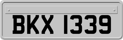 BKX1339