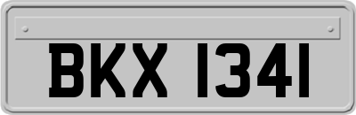 BKX1341
