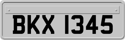 BKX1345