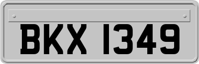 BKX1349