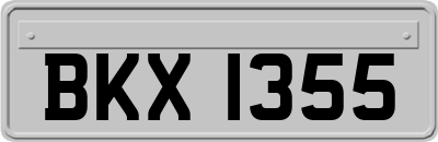 BKX1355