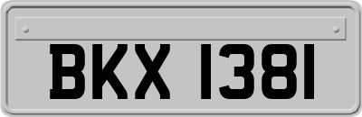 BKX1381