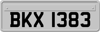 BKX1383