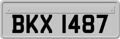 BKX1487