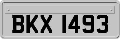 BKX1493