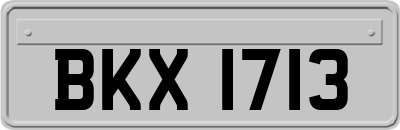 BKX1713