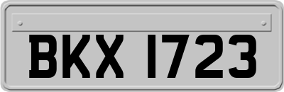 BKX1723