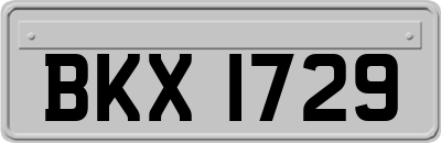 BKX1729