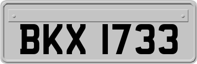BKX1733