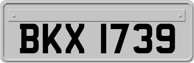 BKX1739
