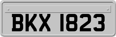 BKX1823