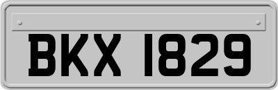 BKX1829