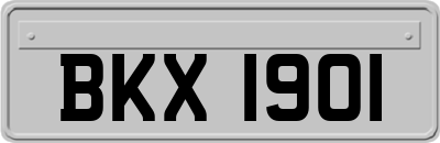 BKX1901
