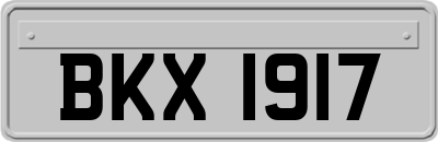 BKX1917