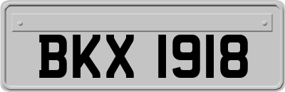 BKX1918