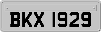 BKX1929